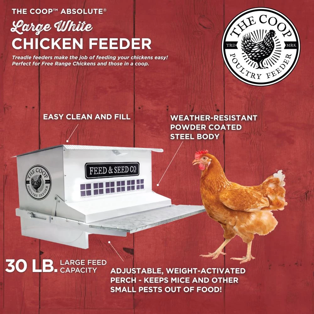 Budget 💯 Thing Livestock Feeders Large Rustic Chicken Feeder 😉 - Image 4