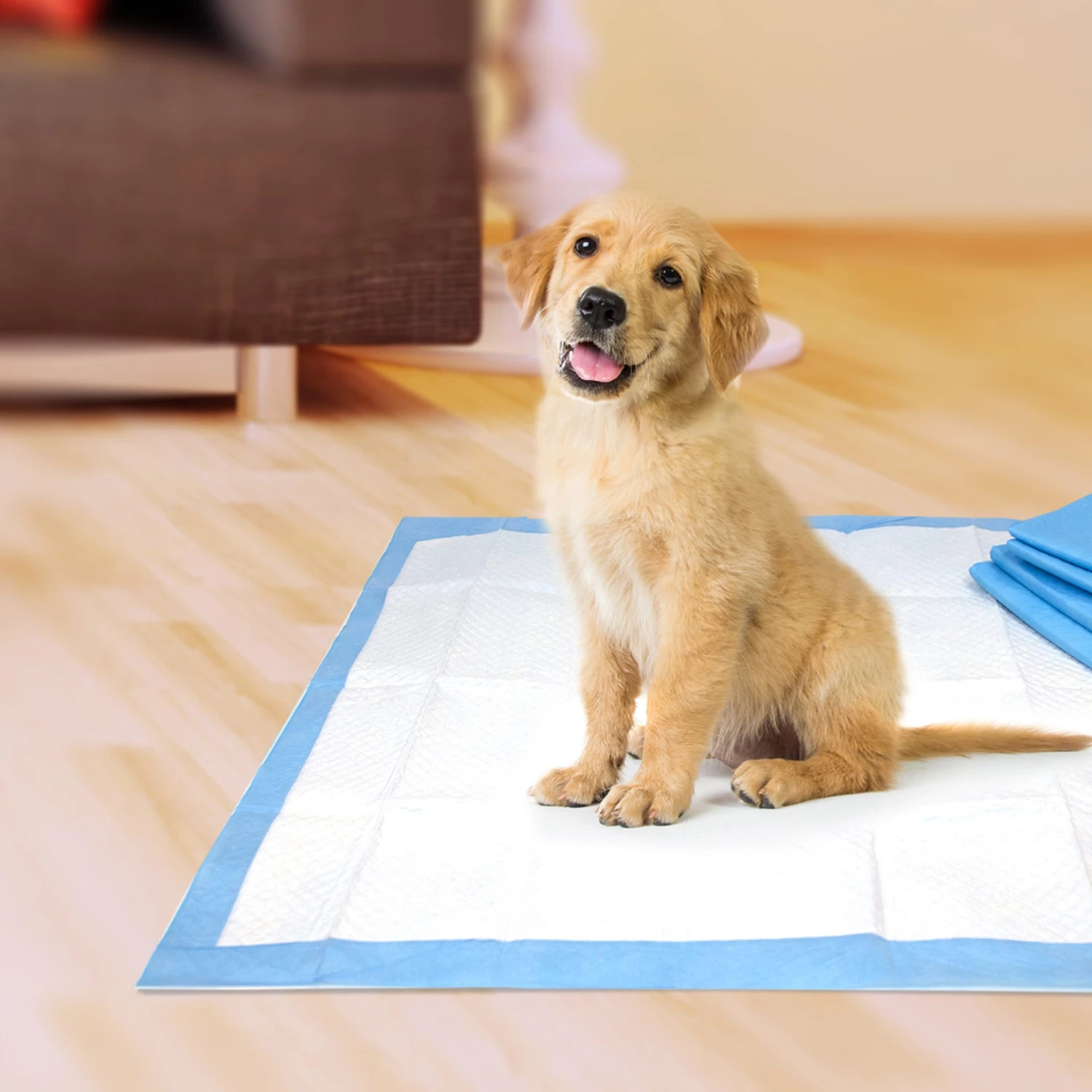 Cheap โ Pet Select ๐ฆฎ Dog Cleaning & Potty Training Pads, Non Woven Cloth ๐ - Image 5