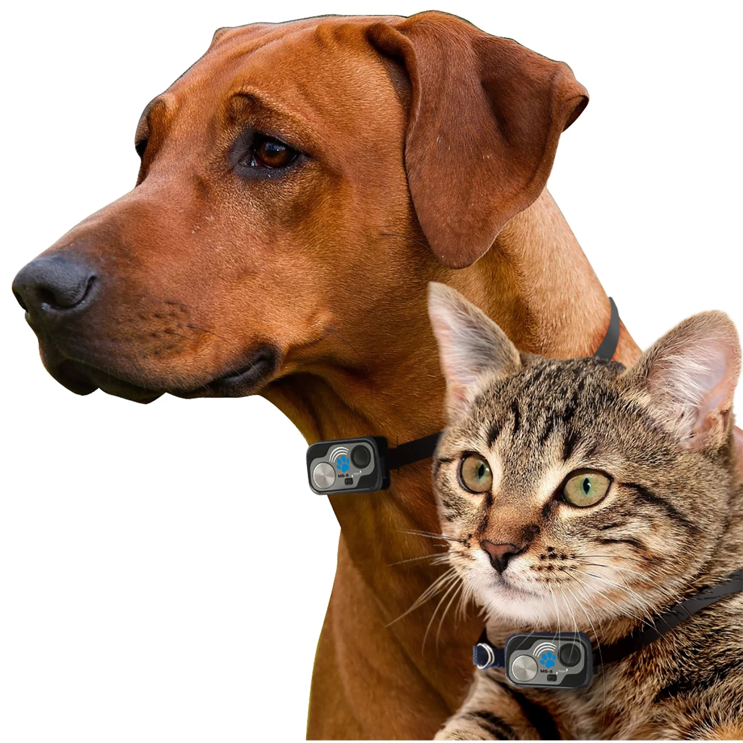 Coupon ๐ฅ High Tech Pet Pet Doors Medium (26- 40-lb) White Composite Door or Wall Pet Door ๐ - Image 2