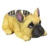 Discount 🎁 Exhart Food & Water Bowls French Bulldog, 12 by 6 Inches Tan Bulldog Bowl, Yellow ⭐