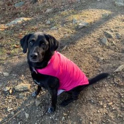 Brand new 🛒 Free Country Pet Clothing CHALET CIRE DOWN FILLED 🦮 DOG JACKET RASPBERRY SORBET XL 🛒