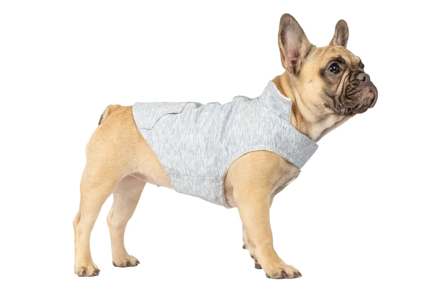 New ๐ Free Country Pet Clothing X2O WATERPROOF STRETCH ๐ฆฎ DOGGY RAIN JACKET SILVER CHIP L ๐งจ