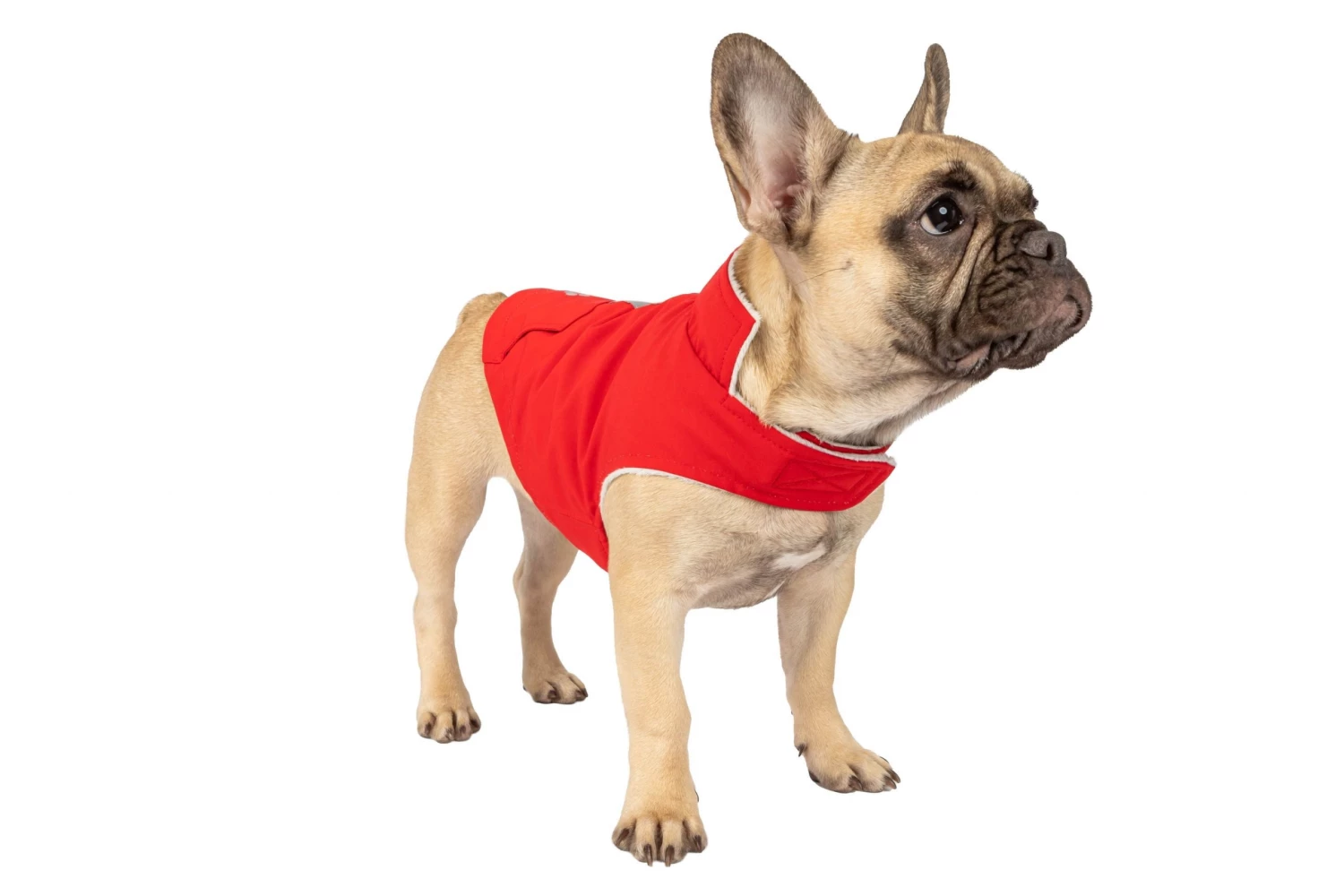 Discount โ Free Country Pet Clothing X2O WATERPROOF STRETCH ๐ DOGGY RAIN JACKET POPPY RED L ๐