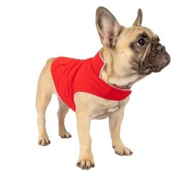 Hot Sale 🥰 Free Country Pet Clothing X2O WATERPROOF STRETCH 🦮 DOGGY RAIN JACKET POPPY RED M 🔔