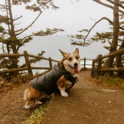 Best reviews of 🌟 Free Country Pet Clothing CHALET CIRE DOWN FILLED 🐕 DOG JACKET BLACK L ⌛