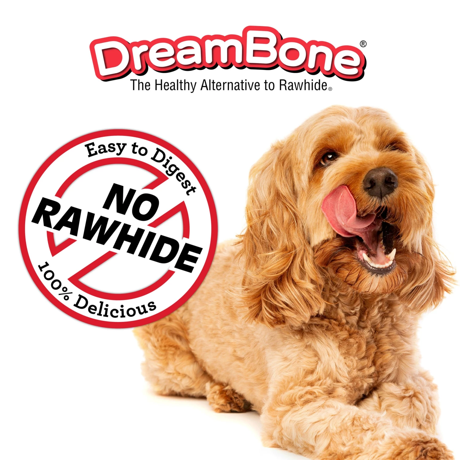 Coupon ๐ DreamBone Pet Treats Mini Chews with Real Chicken No-rawhide Chews for ๐ Dog Chicken Flavor ๐ - Image 6