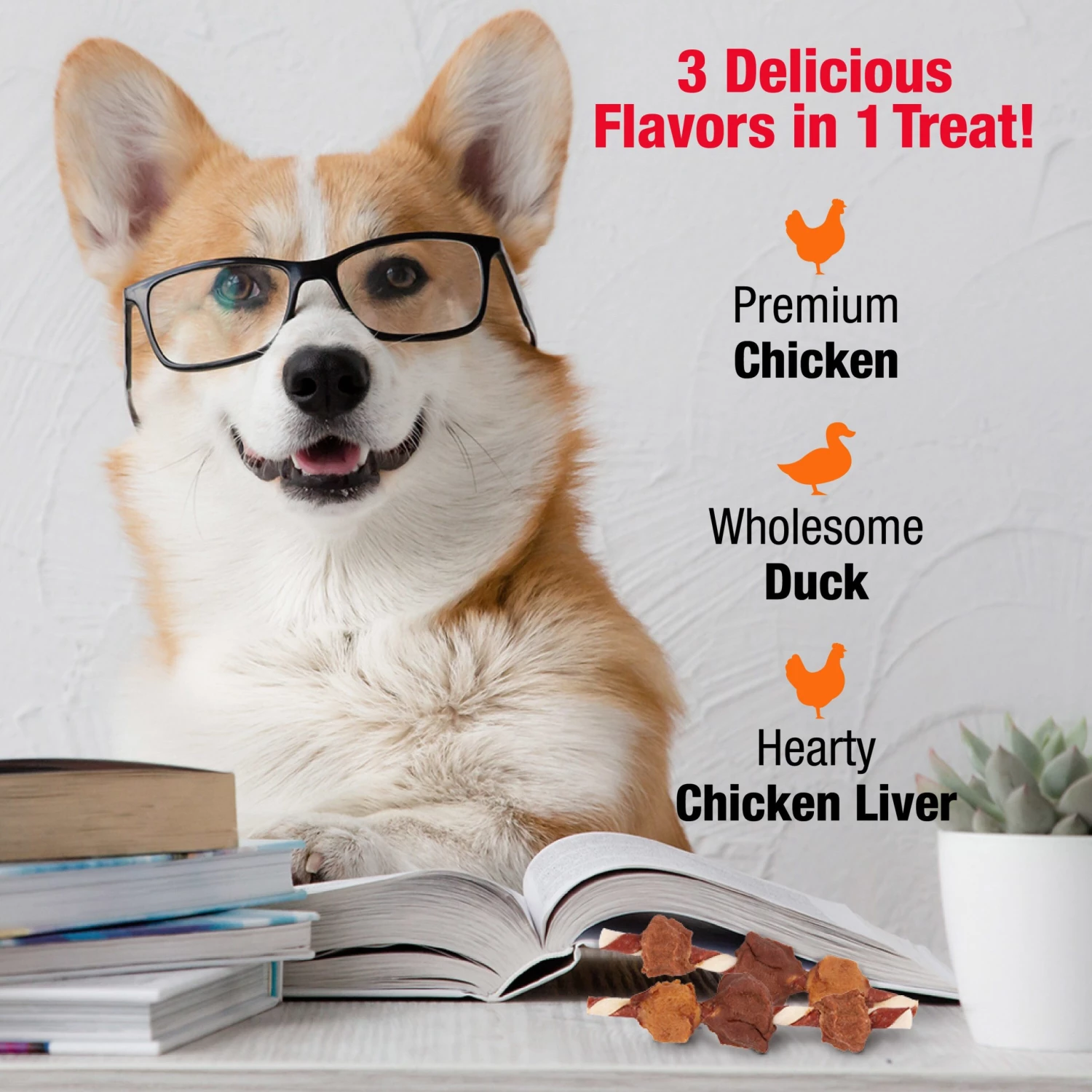 Coupon โจ Good 'n' Fun Pet Treats 12-Day of ๐ Dogmas Calendar Rawhide Chews for ๐ Dog Variety Flavor (12-Count) โจ - Image 7