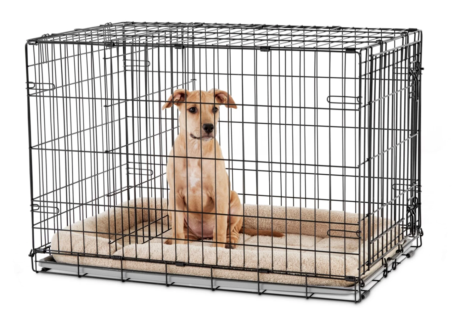 Outlet 🥰 You & Me Crates & Kennels 36-ft L x 22.5-ft W x 24.9-ft H 🐕 Dog Crate ❤️ - Image 5